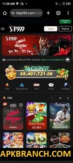 P999 Game interface screenshot