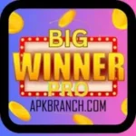 BIg Winner Pro APK logo