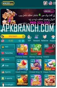 KK 222 Game interface screenshot