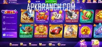 Daily Patti Game interface screenshot