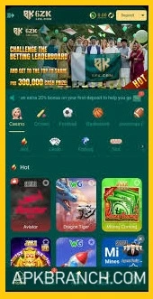 6ZK Game interface screenshot