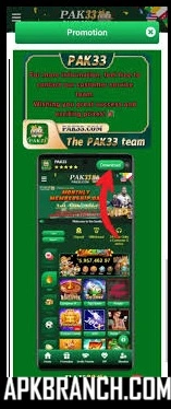 Pak33 Game download