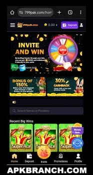 799 Pak Game rewards