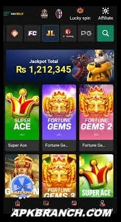 Vai Baji Game interface screenshot