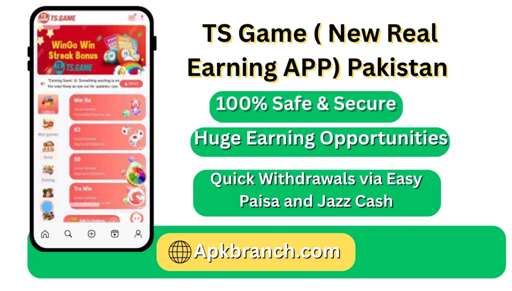 TS Game interface screenshot