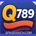 Q789 Game logo