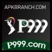 P999 game logo