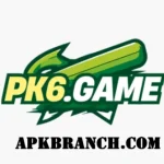 PK6 Game Icon
