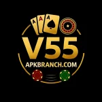 V55 Game Logo